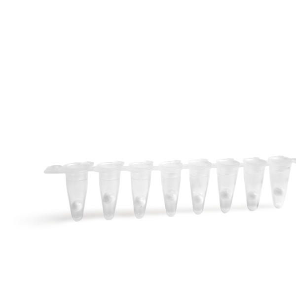 ExAmplex COVID-19 PCR 3-gene Lyo kit - Image 2