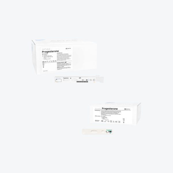 Progesterone - Image 2