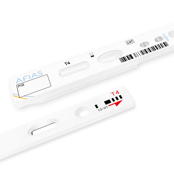 T4 - Image 2