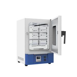 Forced Air Drying Oven BJPX-HGZ30L